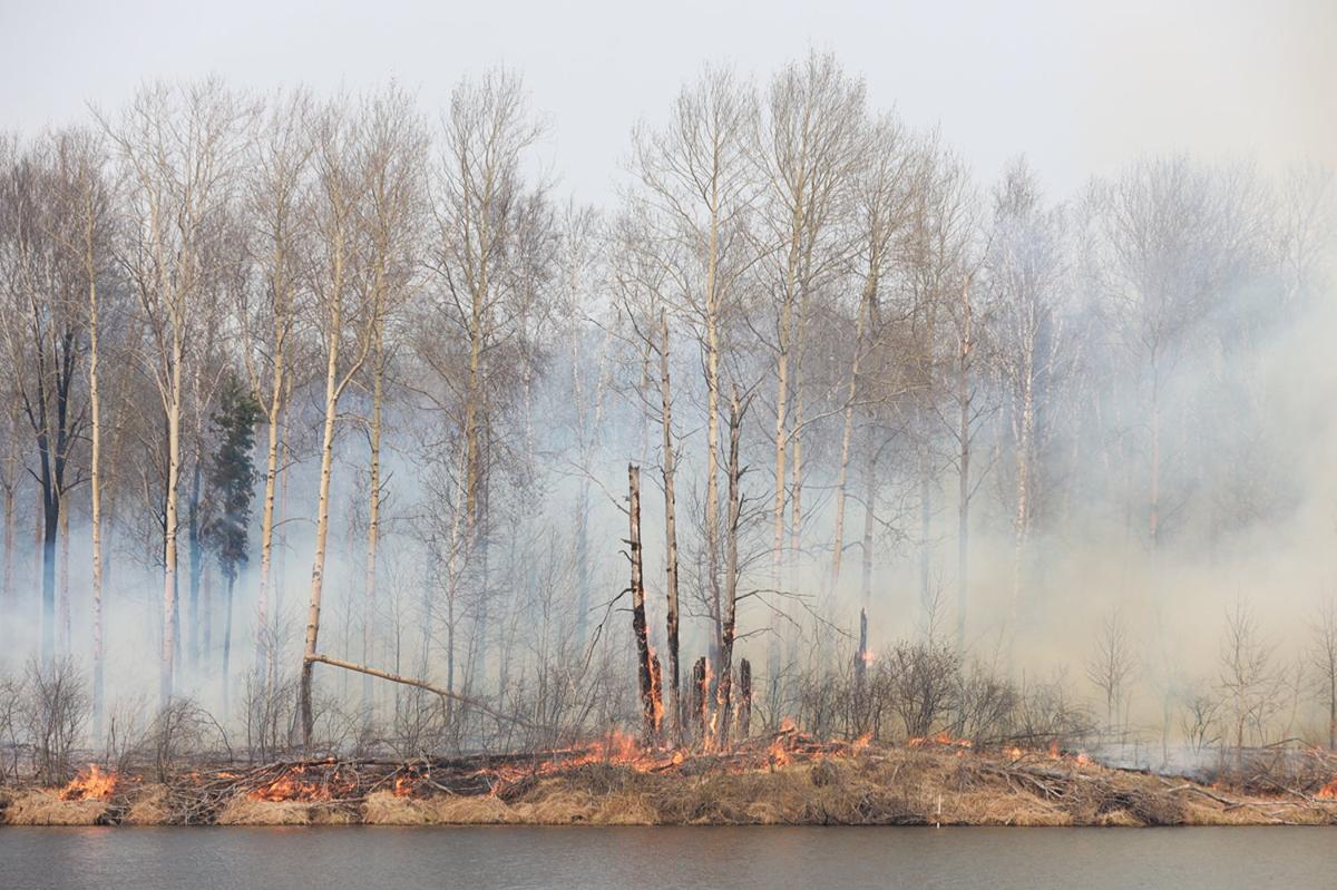 Лесной пожар у озера Полушинское в Тюменской области. Фото: Максим Слуцкий / ТАСС