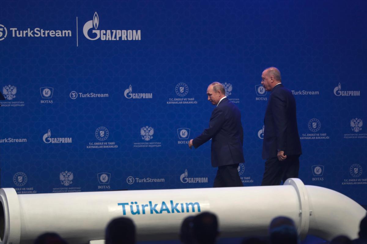 Владимир Путин и Реджеп Эрдоган. Фото: AP / TASS