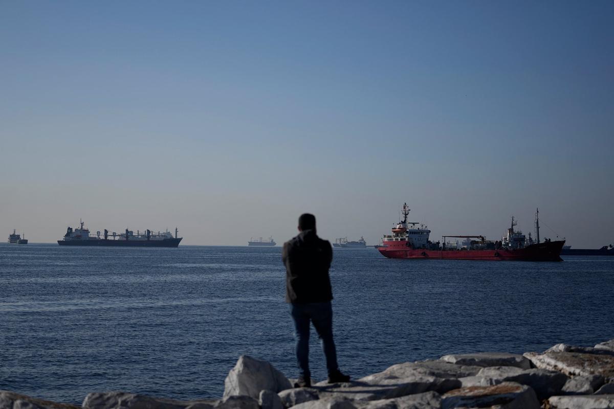 Грузовые суда с украинским зерном в очереди на инспекцию у побережья Стамбула. Фото: AP / TASS