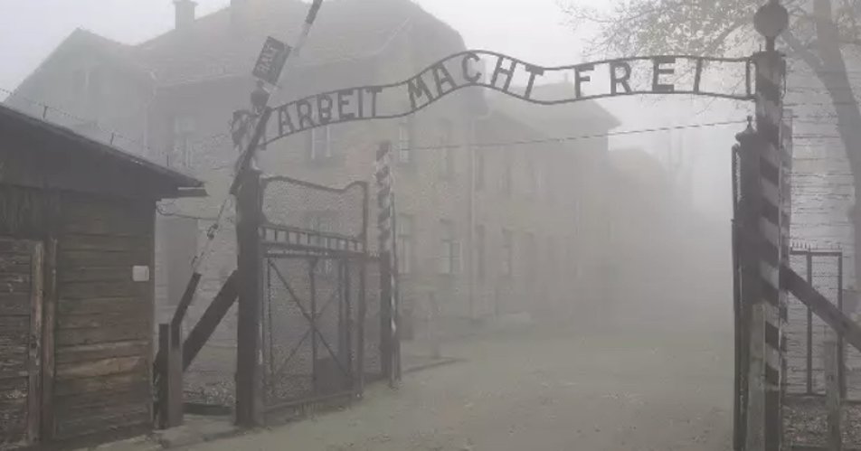 Освенцим. Кадр из фильма