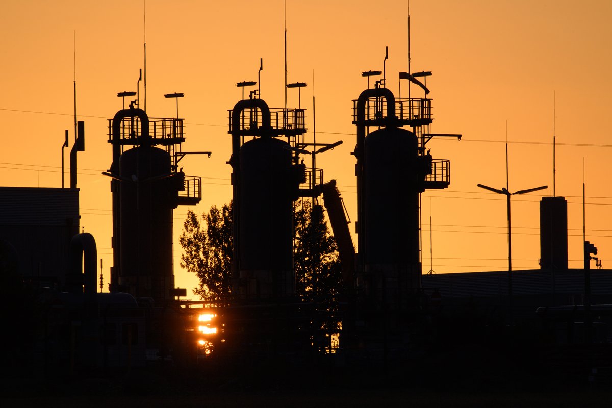 Foto: Dpa / picture-aliance