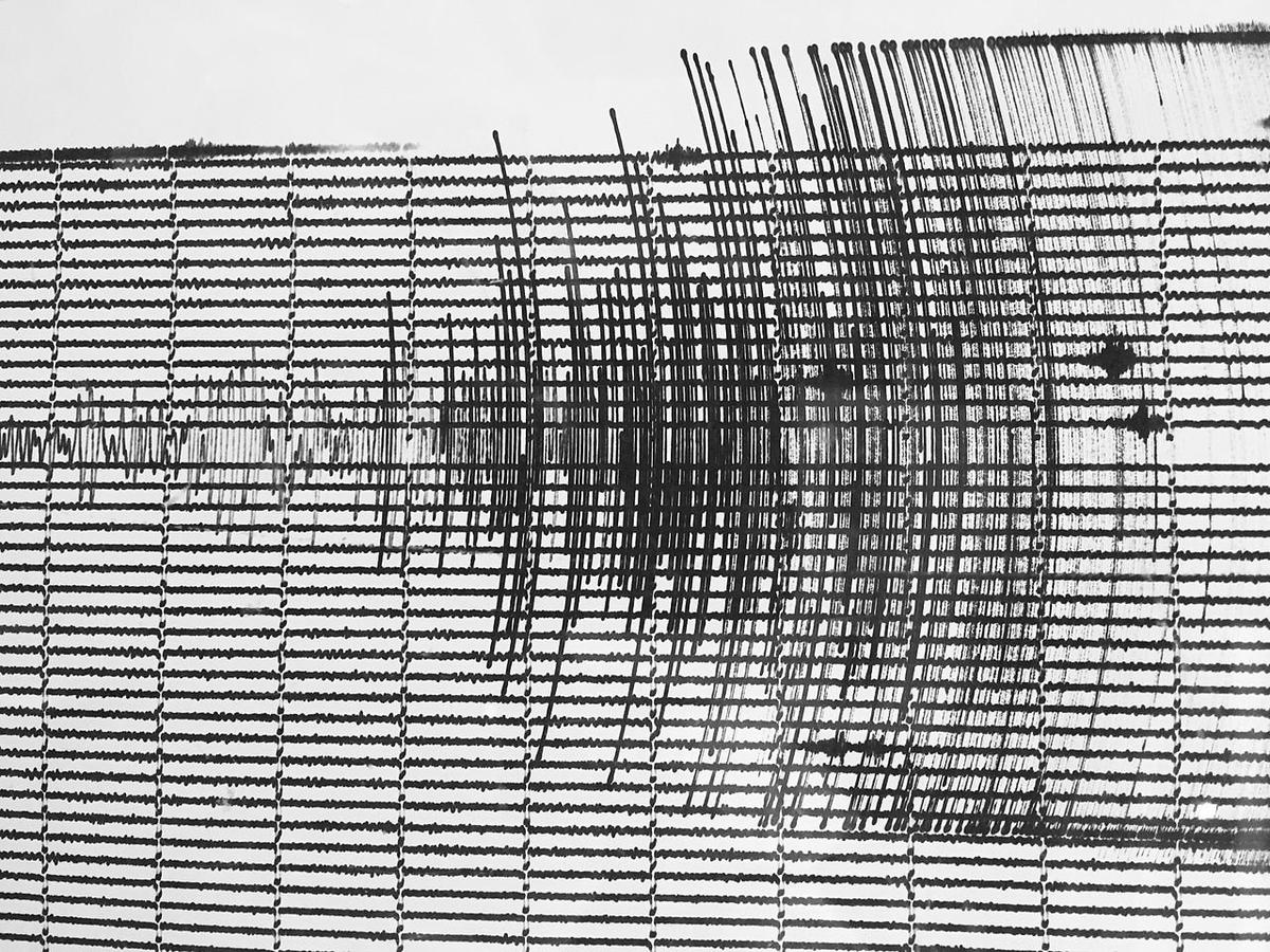 Сейсмограмма землетрясения. Фото: википедия