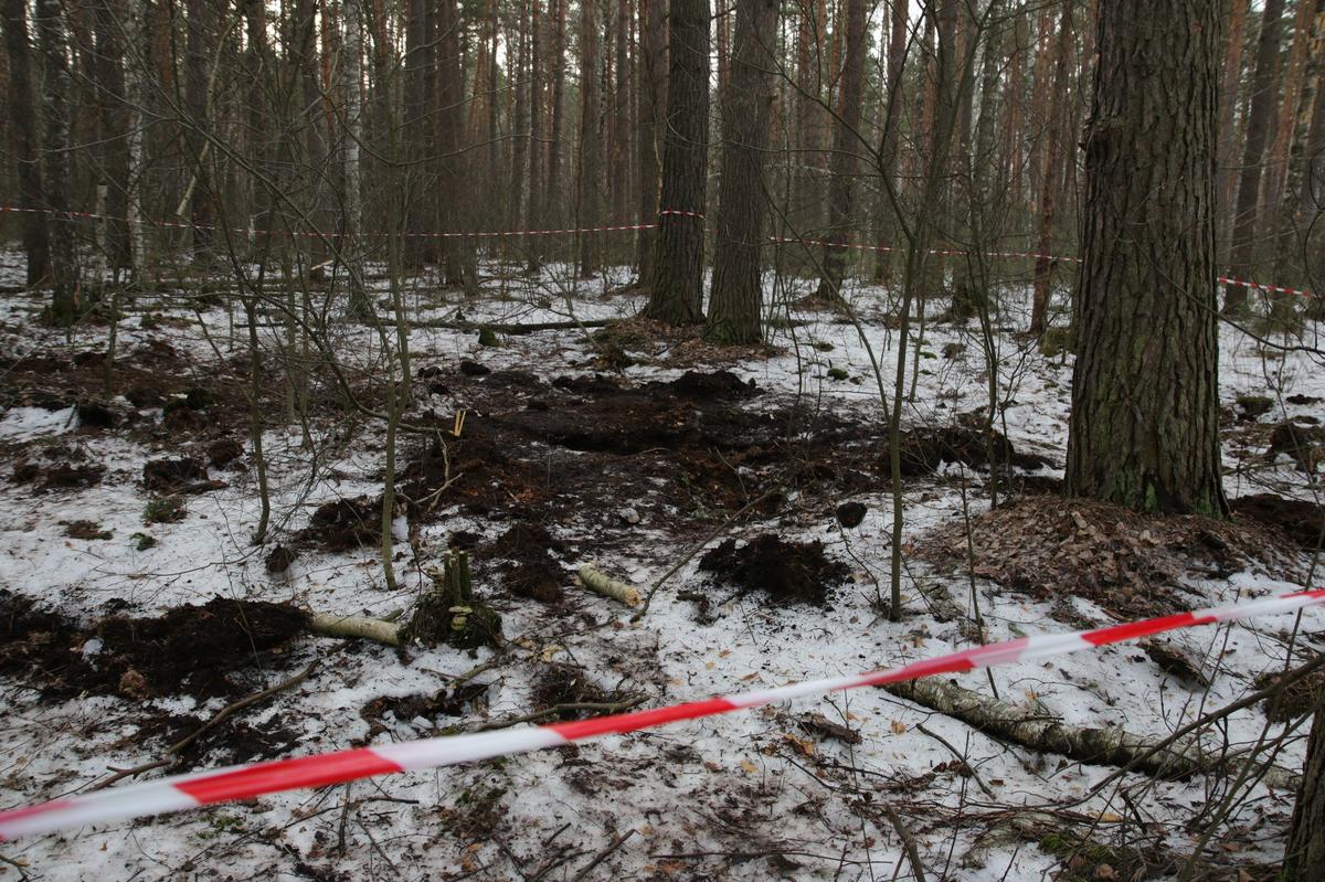 Место, где были обнаружены останки Екатерины Левченко. Фото: Светлана Виданова / «Новая газета»